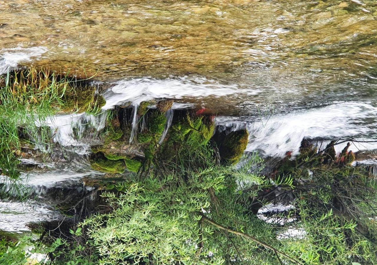Green Eden Gornji Zvečaj エクステリア 写真